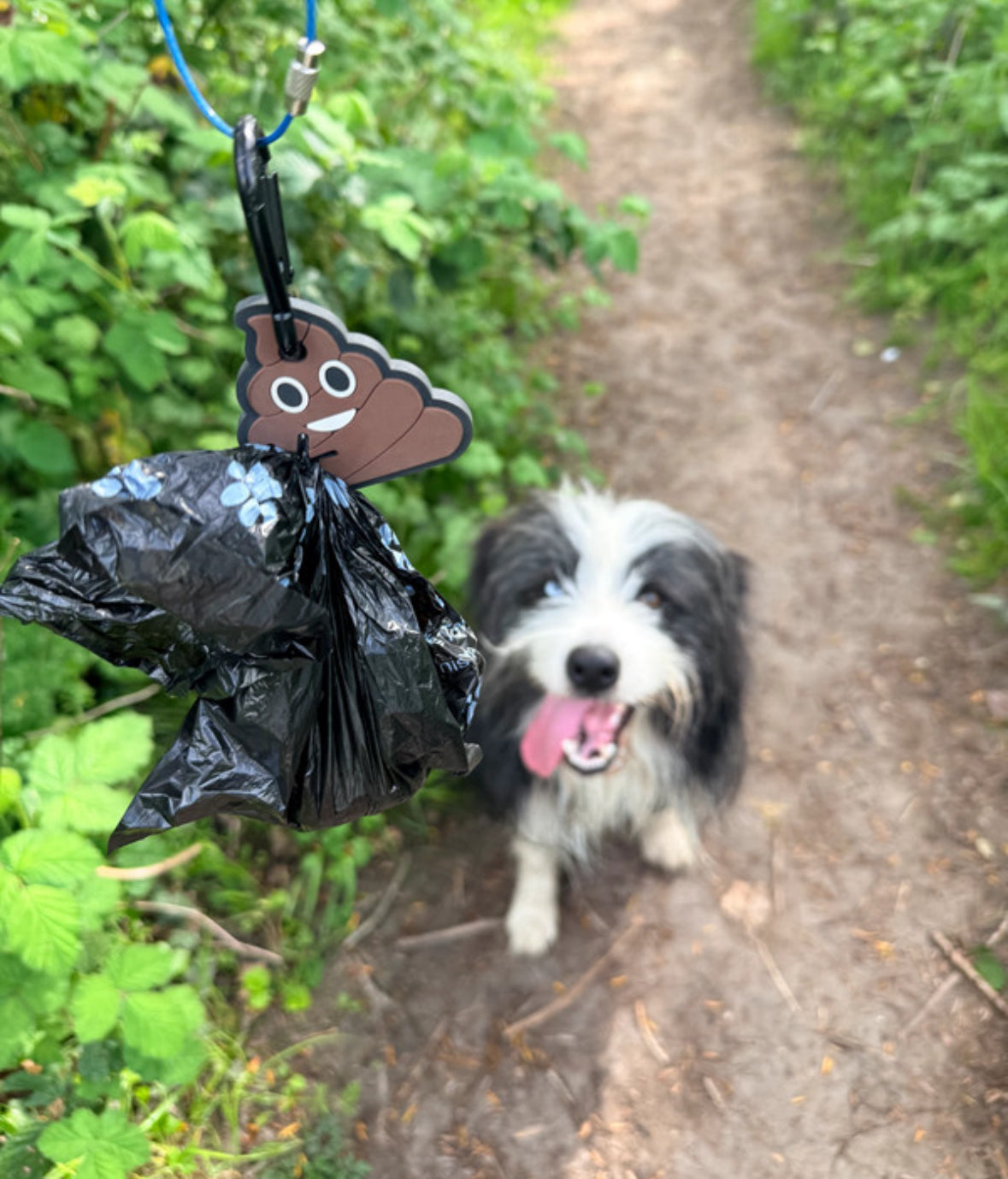 The Dog Poo Bag Carry Clip