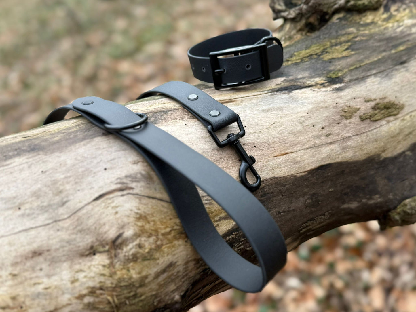 Noir Dog Lead