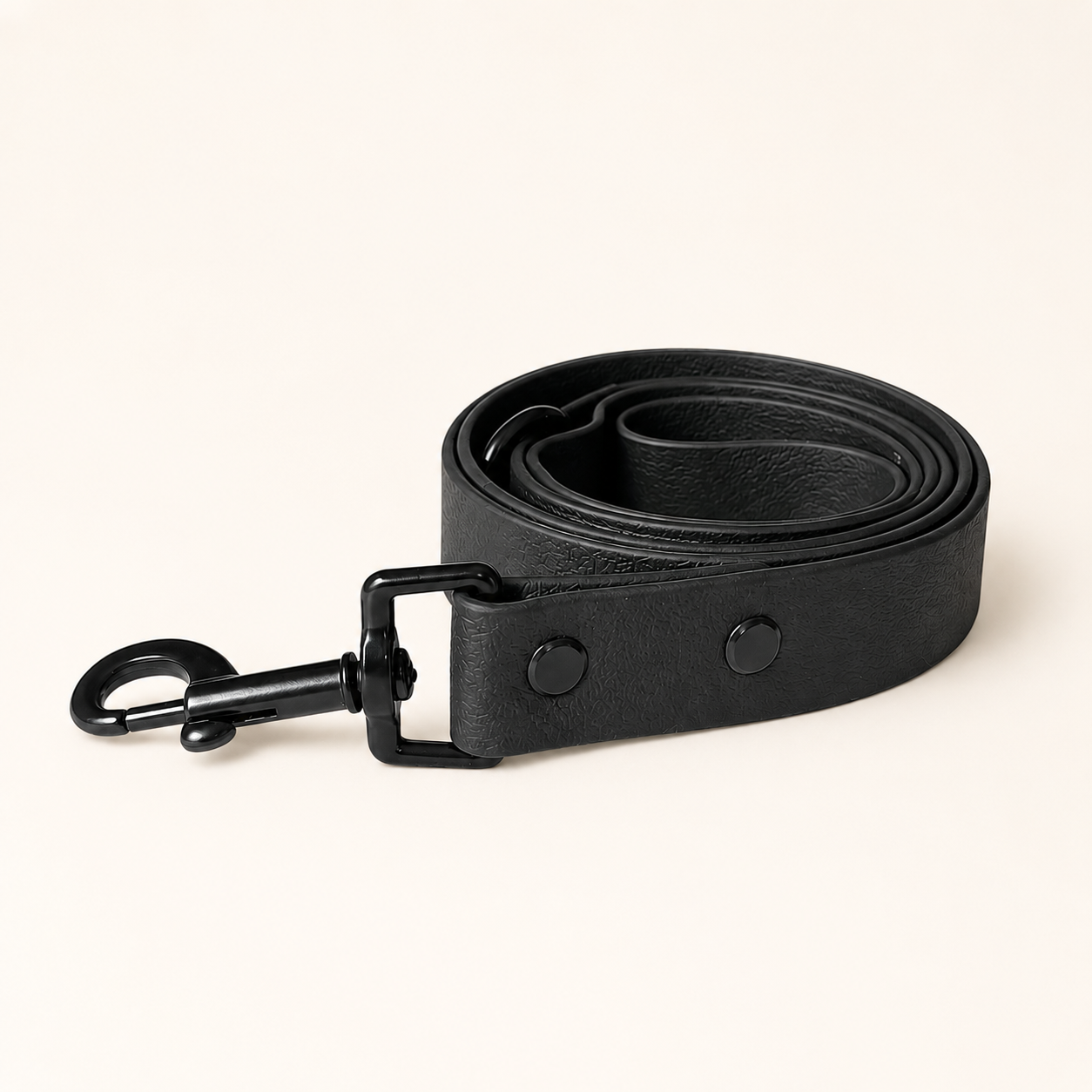 Noir Dog Lead