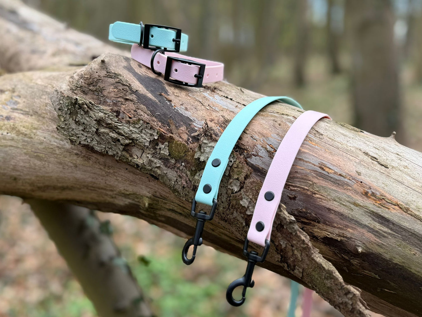 Arctic Mist Dog Lead