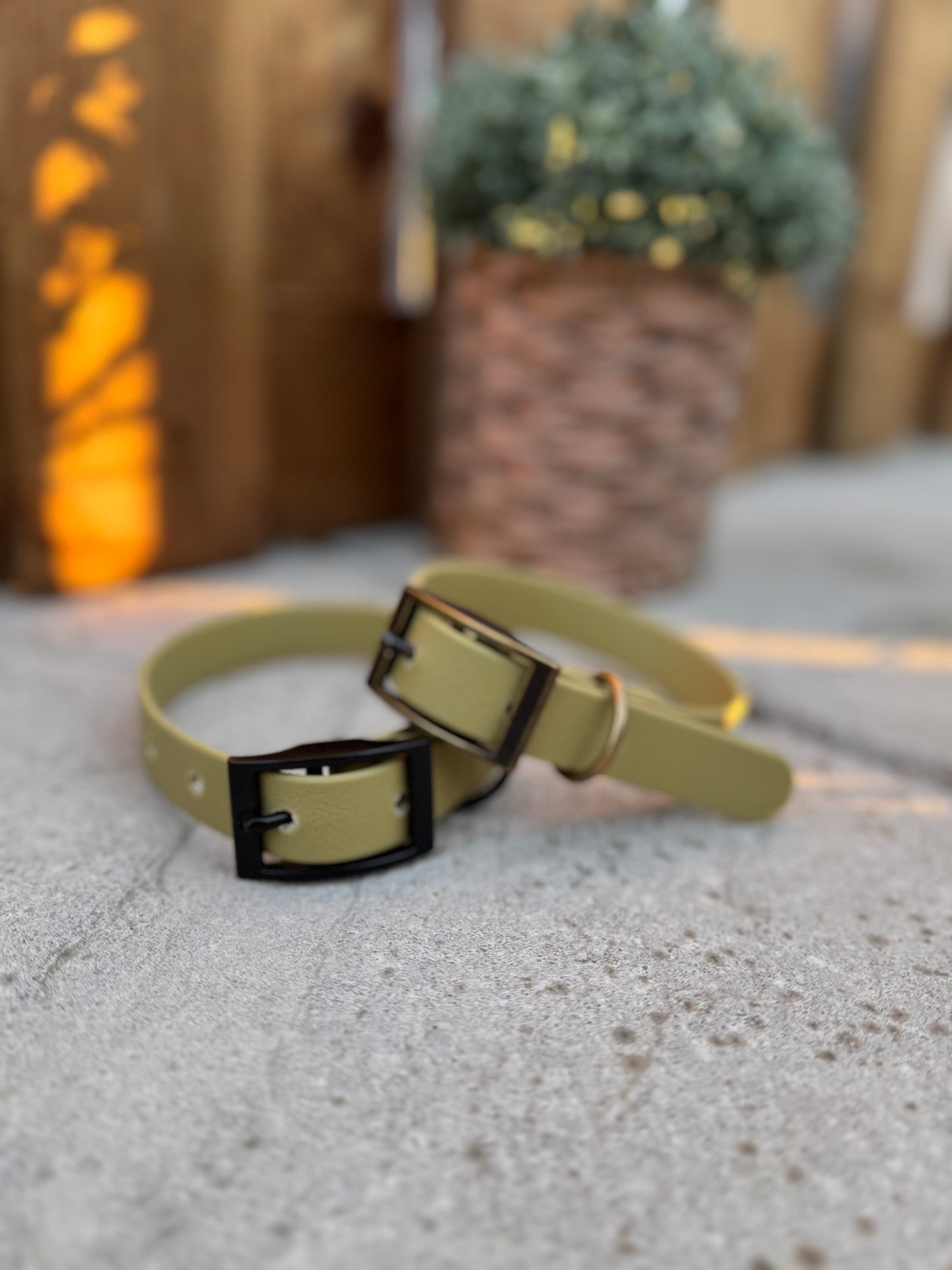 Olive Dog Collar