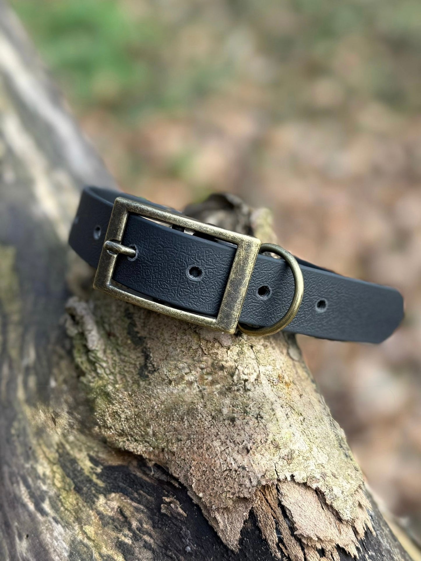 Noir Dog Collar