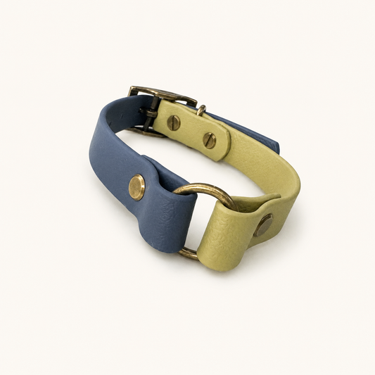 Colour Contrast Dog Collar | 20mm
