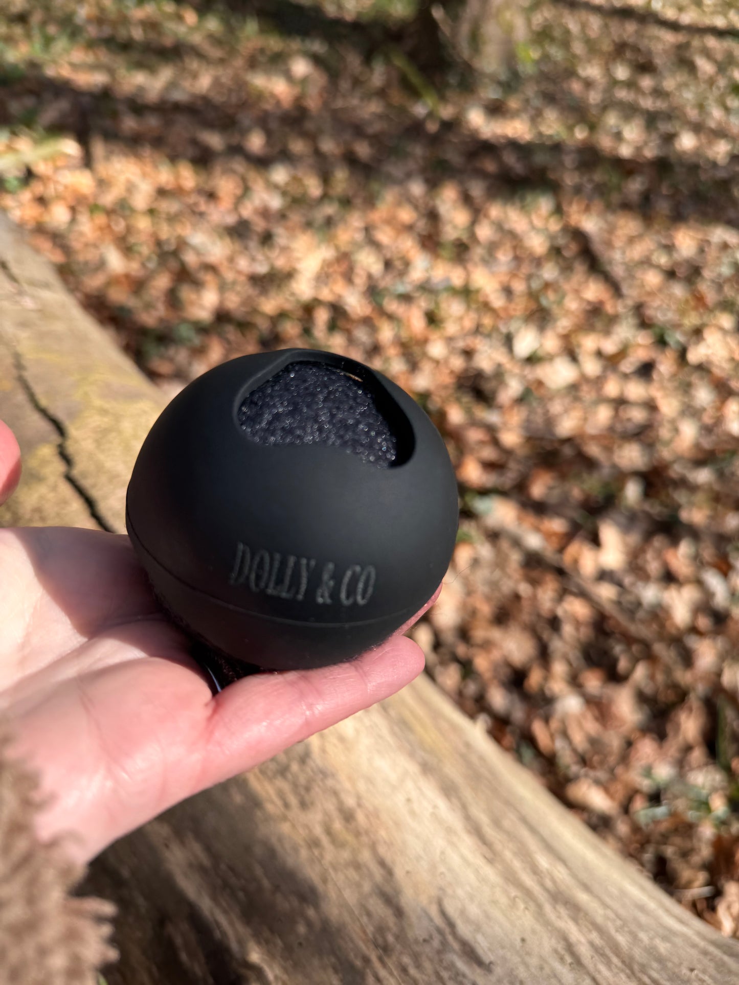 The Ball Dock