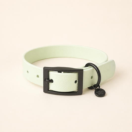 Mint Leaf Dog Collar