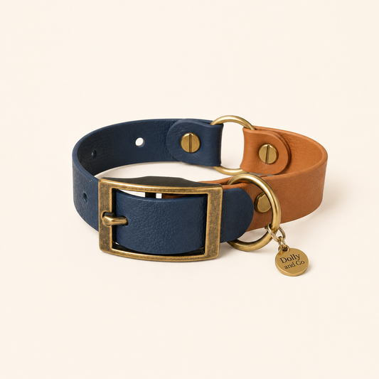 Colour Contrast Dog Collar | 20mm