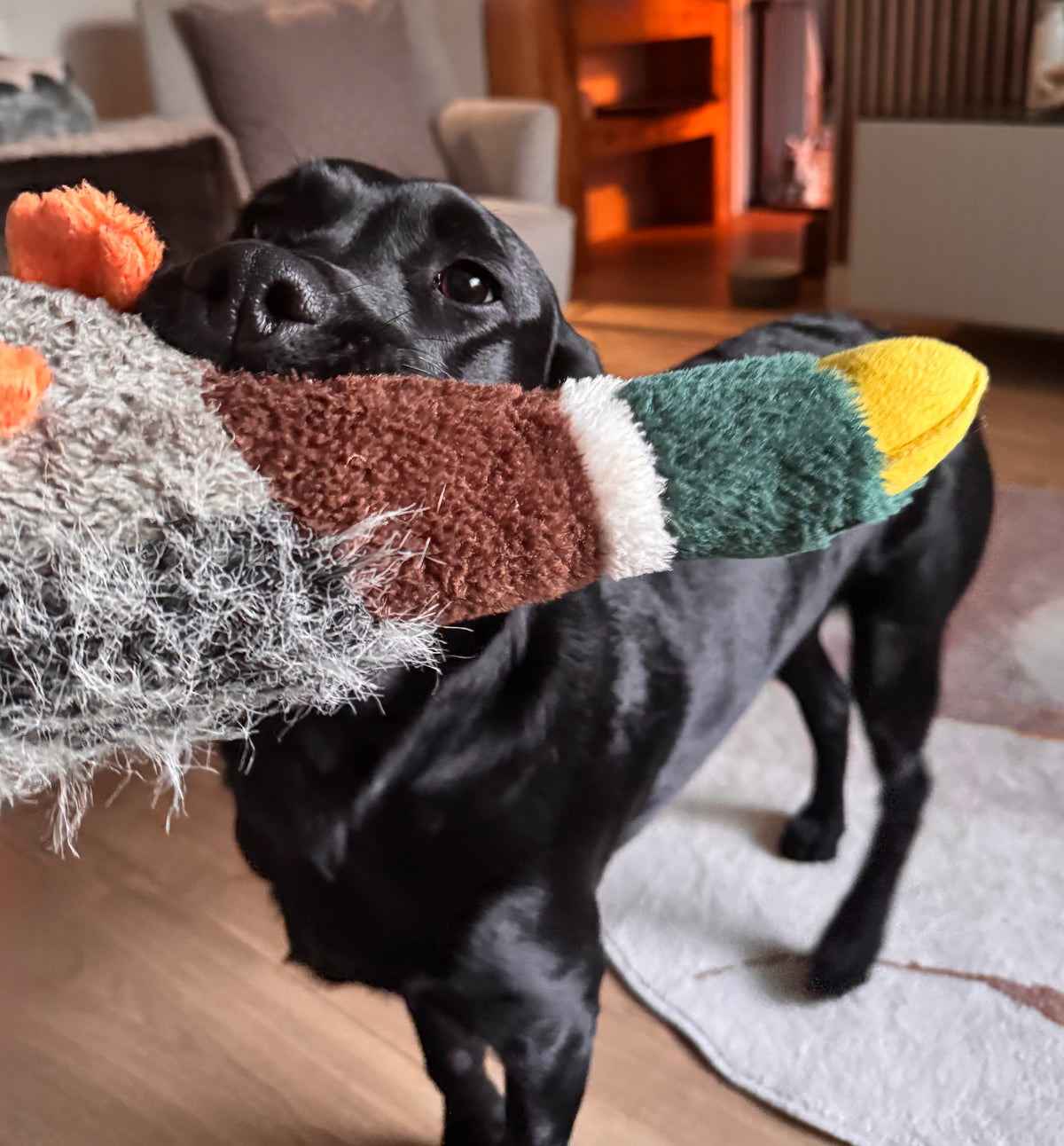 Petface Honking Duck Plush Dog Toy