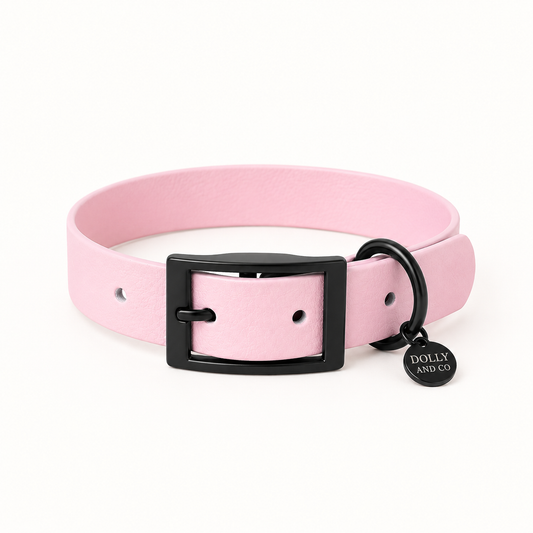 Candy Pink Dog Collar