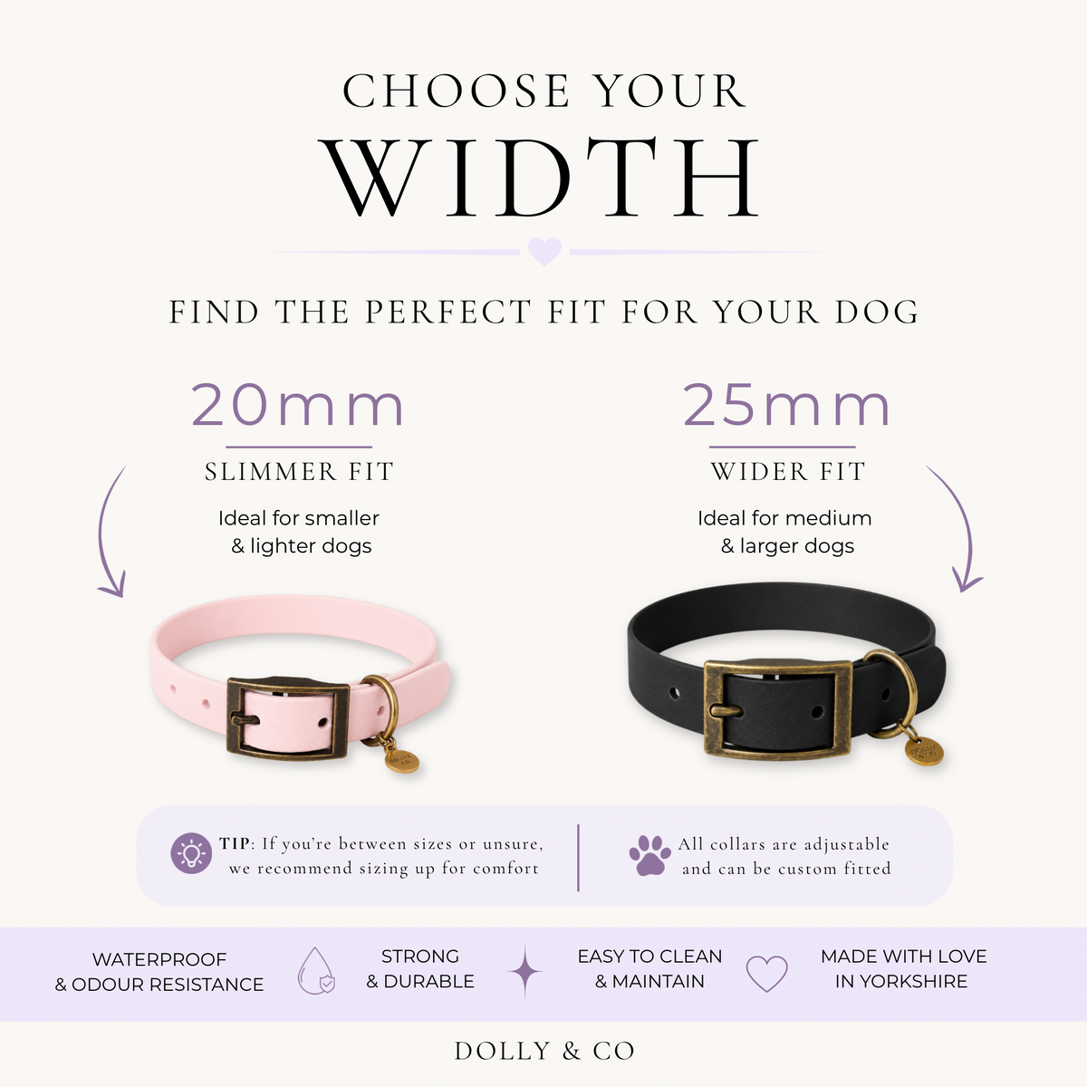 Colour Contrast Dog Collar | 20mm
