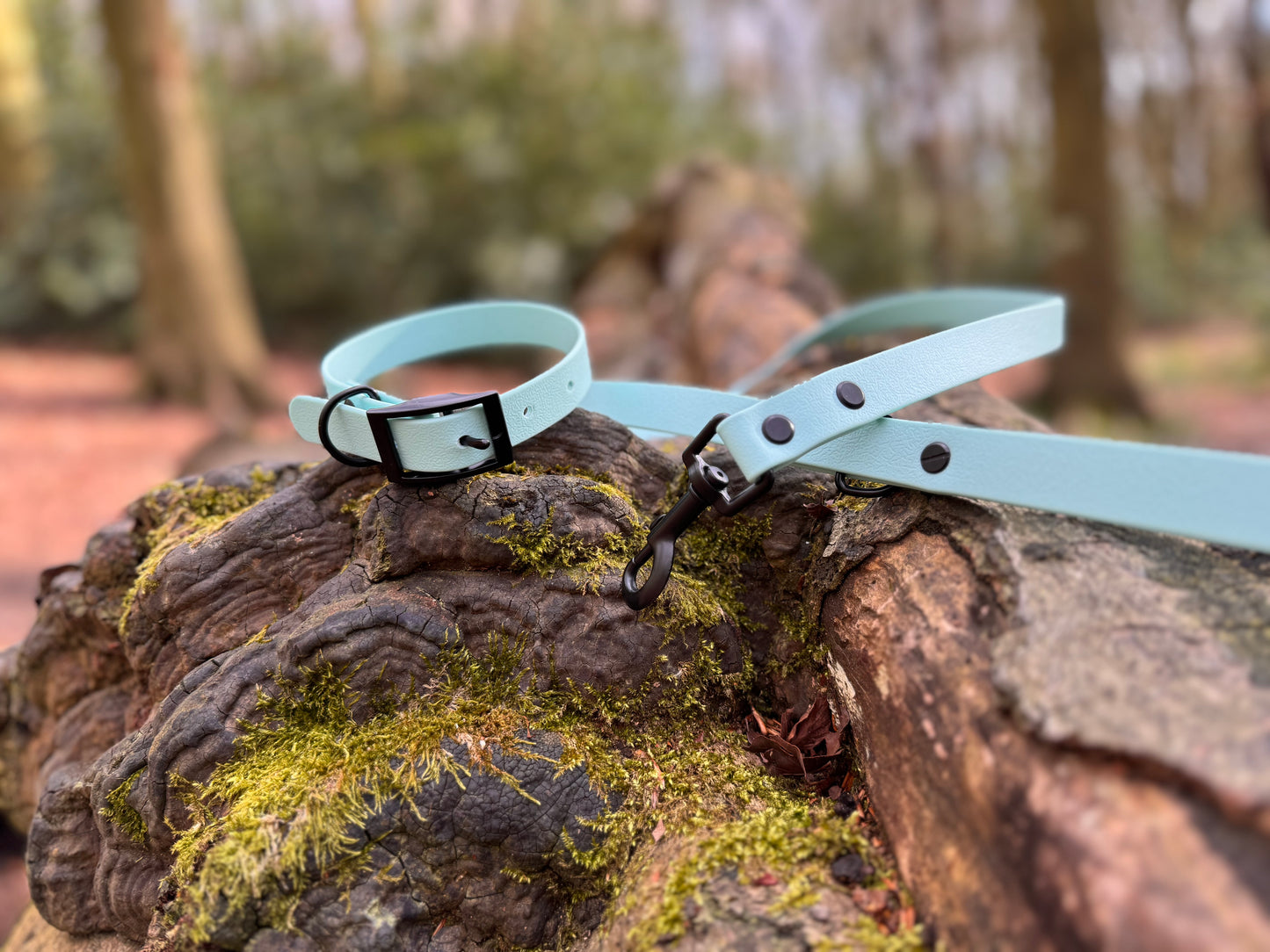 Arctic Mist Dog Collar