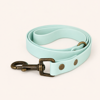 Arctic Mist Waterproof Biothane Dog Lead
