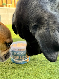 Duck Treat Dog Nibbles