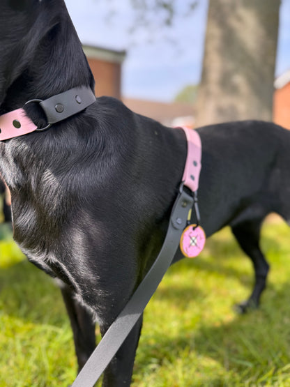 The Dog Poo Bag Carry Clip
