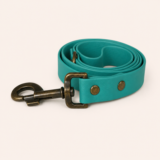 Blue Lagoon Dog Lead