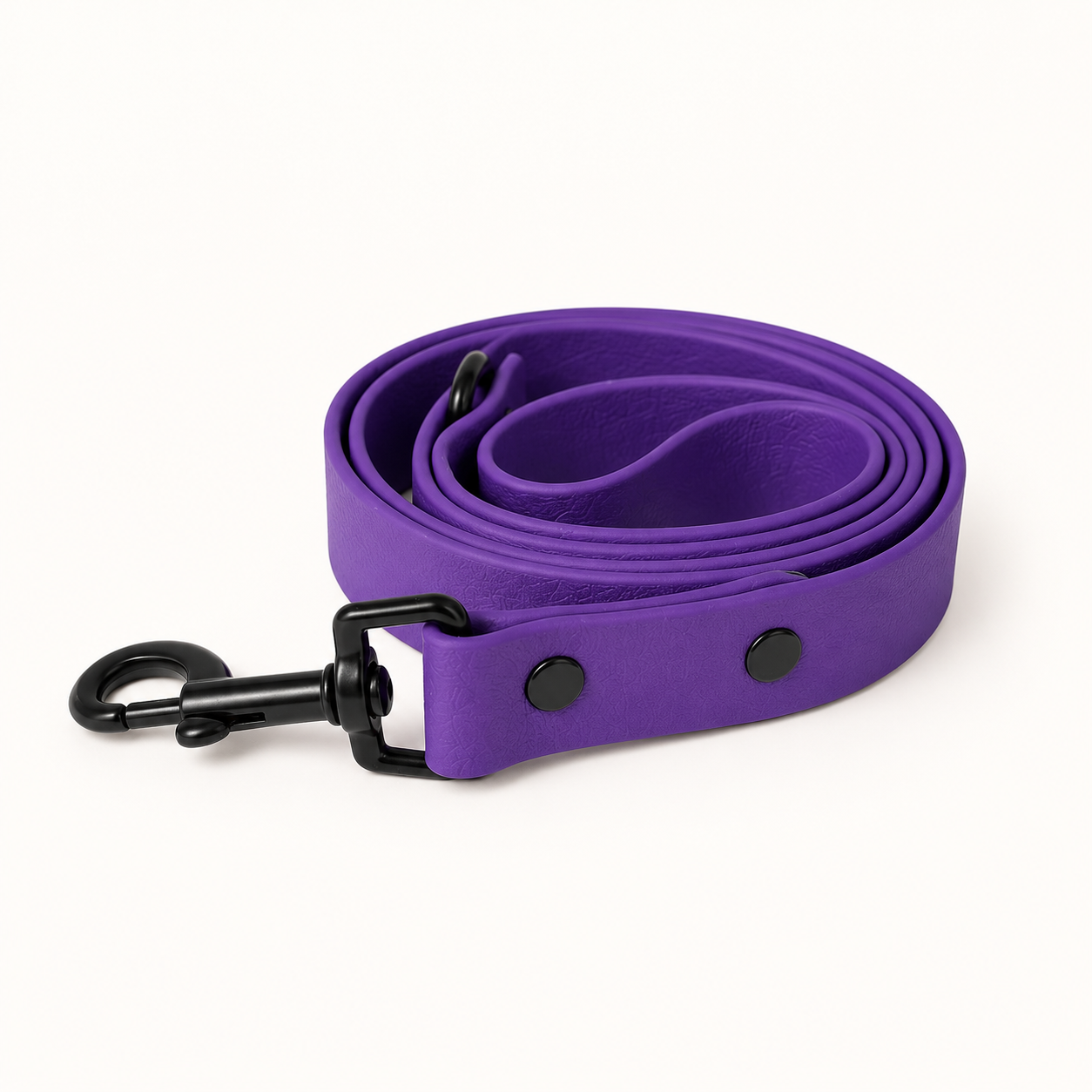 Violet Dog Lead