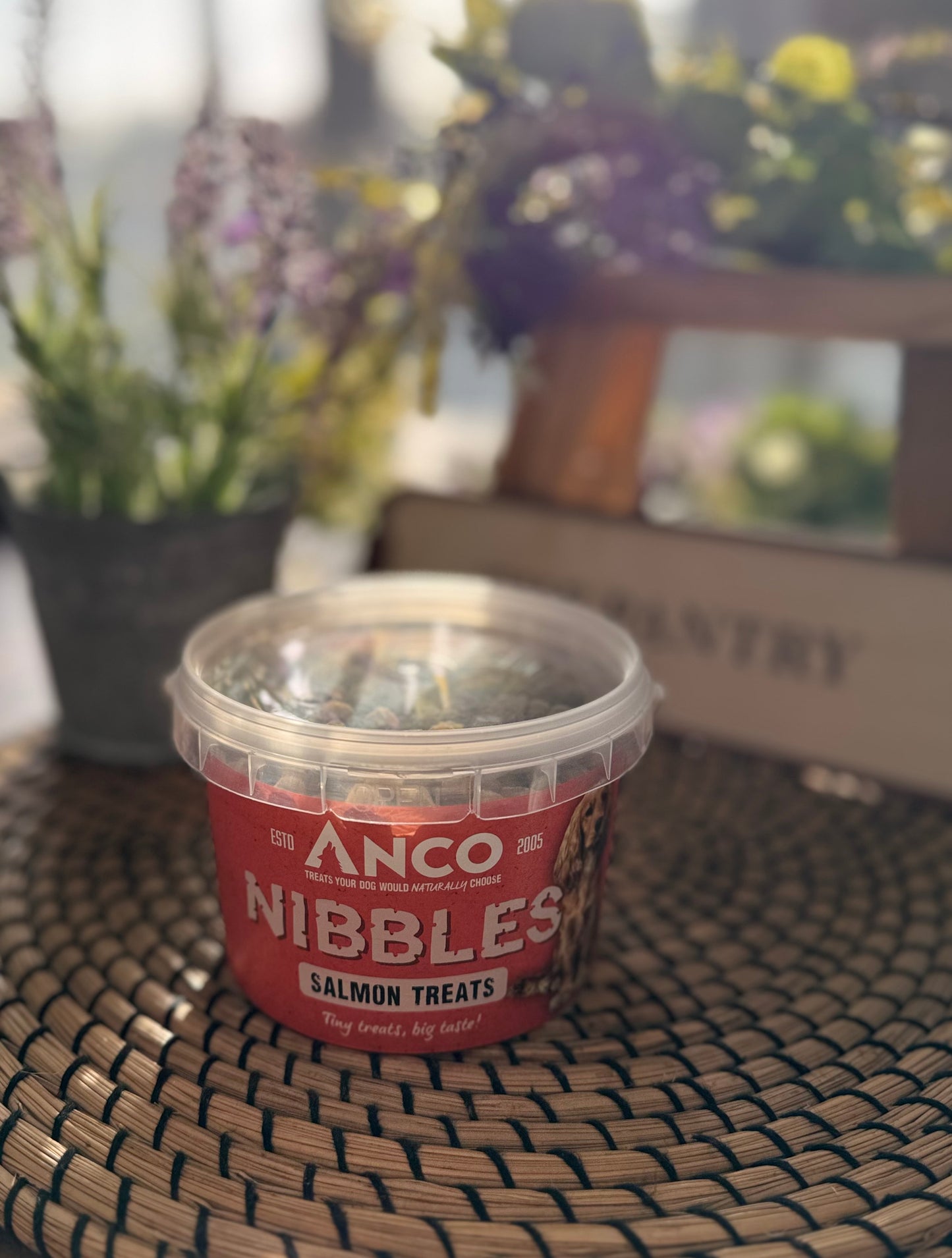Salmon Treat Nibbles