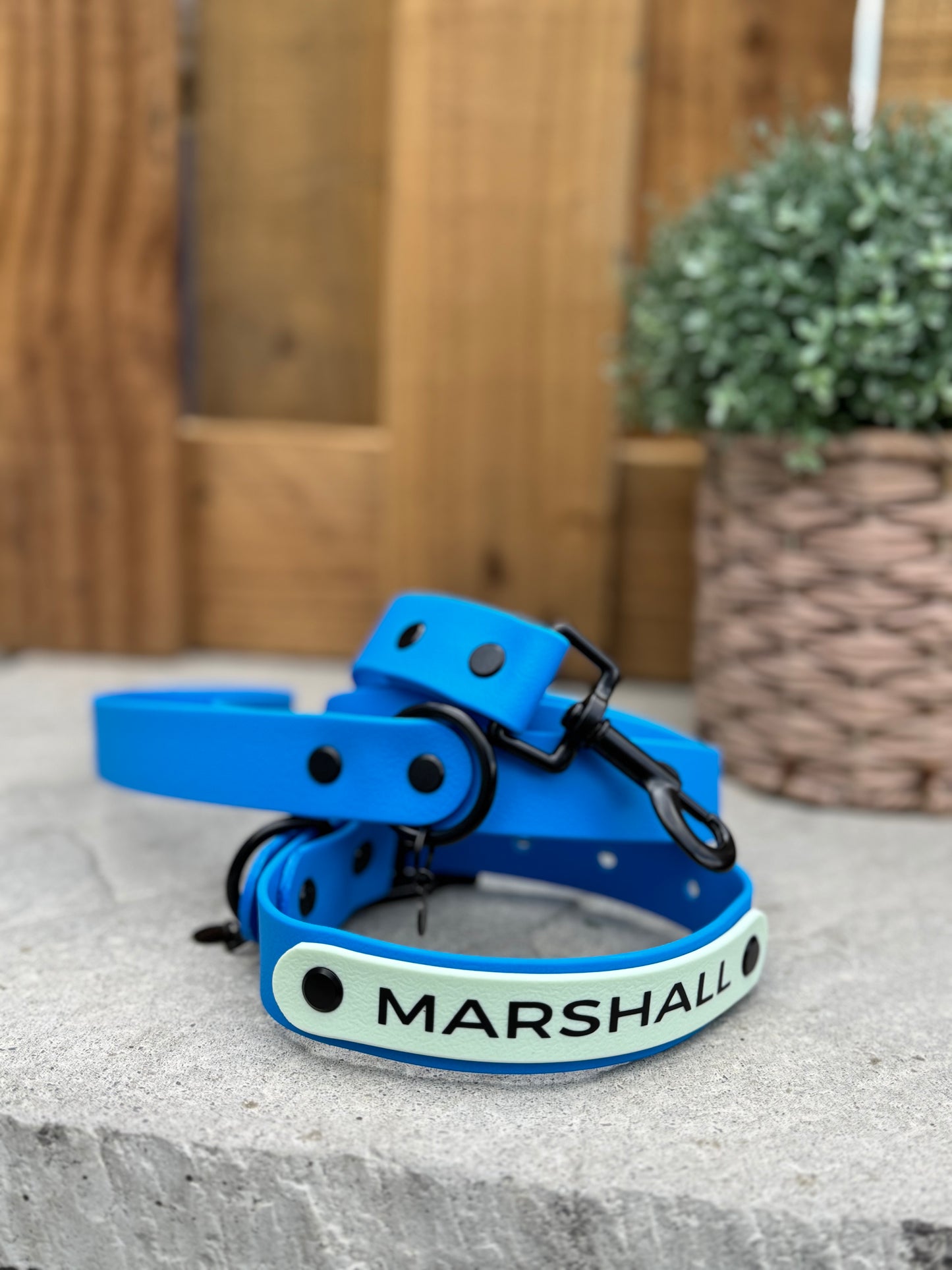 The Name Plate Dog Collar