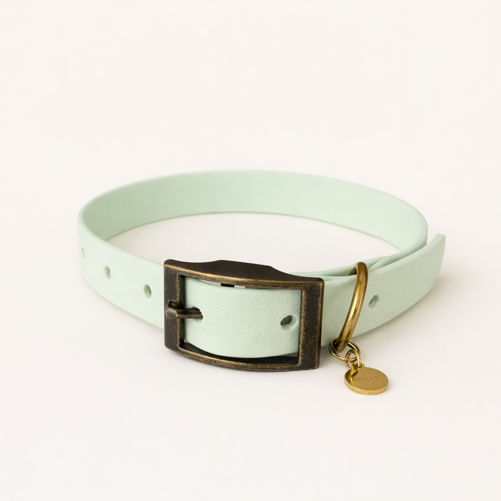 Mint Leaf Waterproof Biothane Dog Collar – product image | Dolly & Co