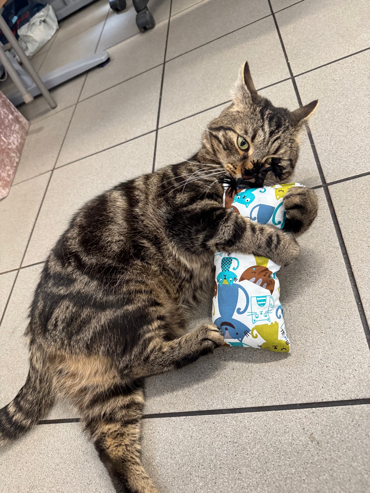 Handmade Cat Kicker Toy