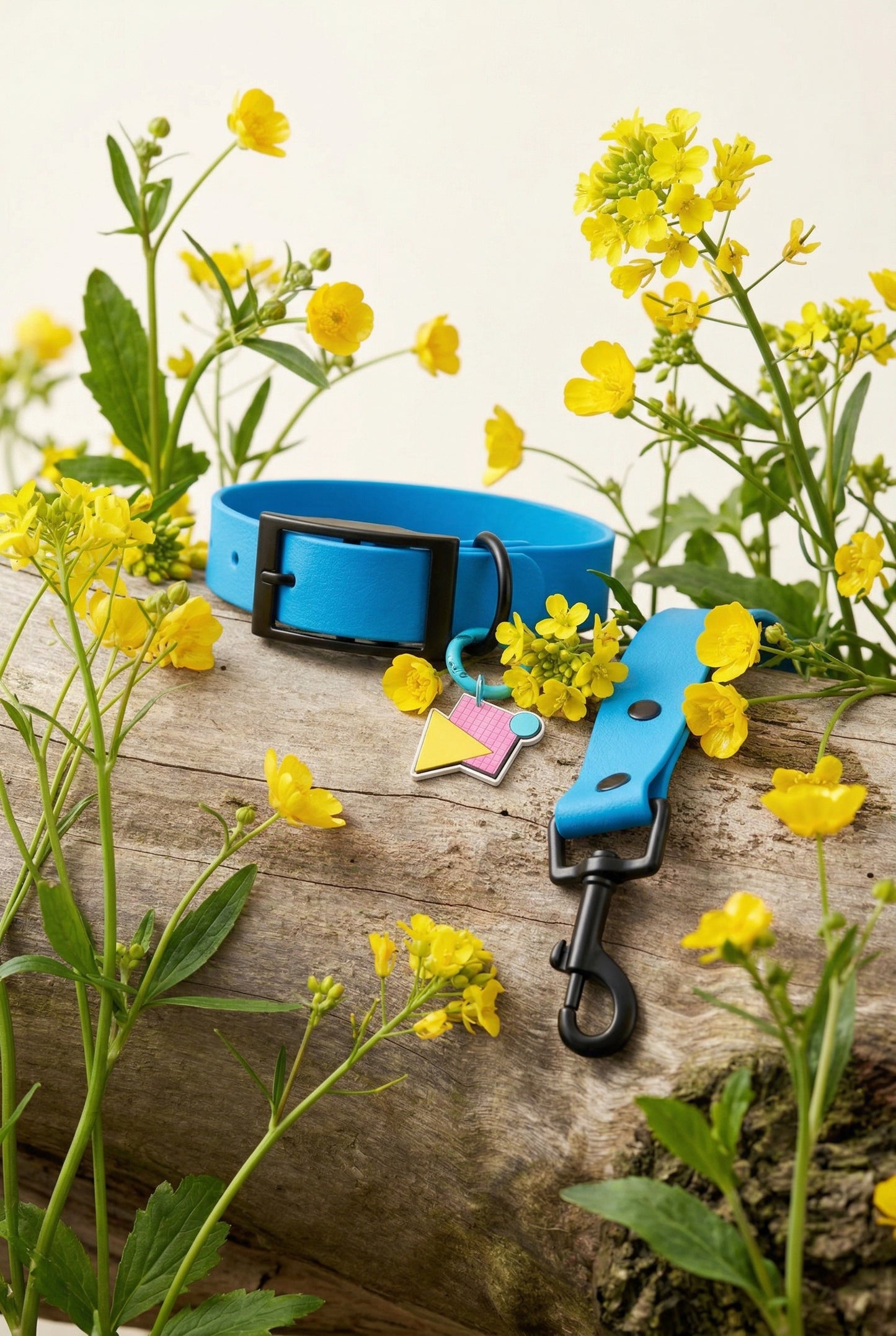 Sapphire Dog Collar