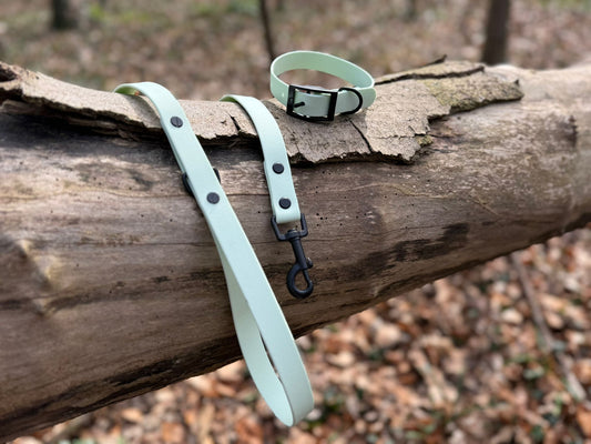 Mint Leaf Waterproof Biothane Dog Lead