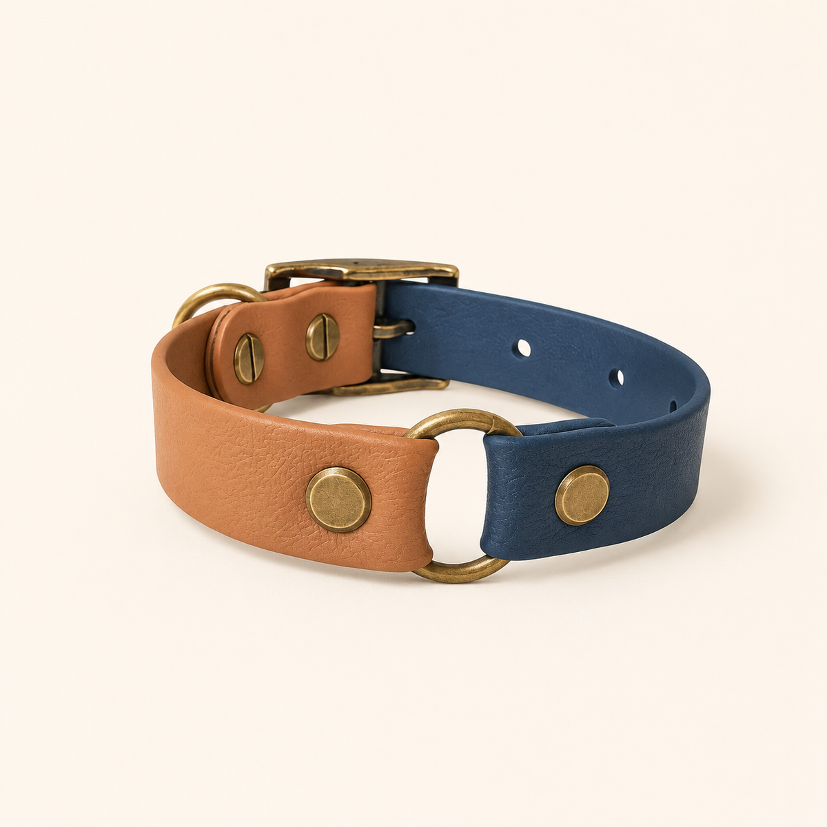 Colour Contrast Dog Collar | 20mm