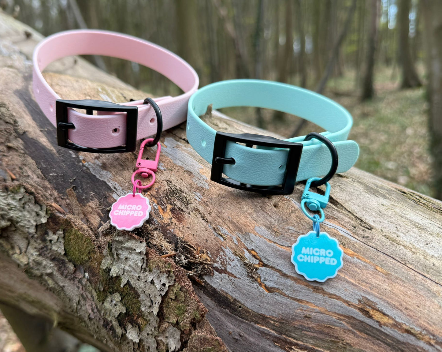 Arctic Mist Dog Collar