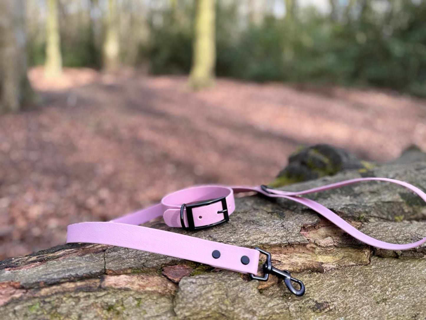 Rose Dust Dog Lead