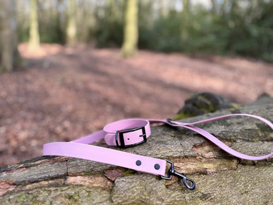 Rose Dust Dog Lead