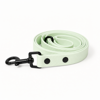 Mint Leaf Waterproof Biothane Dog Lead