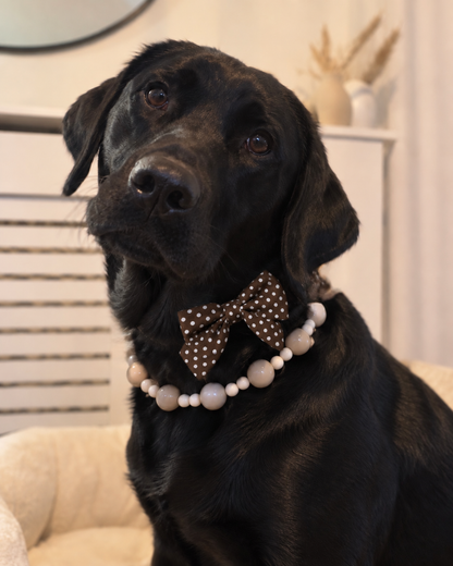 Chocolate Polka Dot Sailor Bow