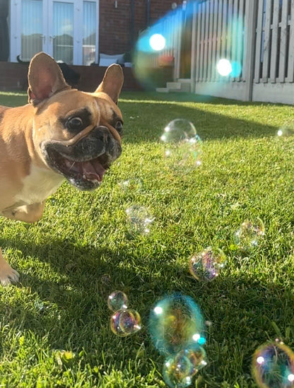 Meaty Bubbles Birthday Cake