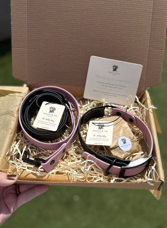 Colour Contrast Waterproof Dog Lead | 25mm