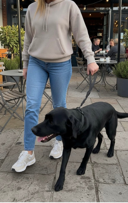 The Urban Midi Dog Lead