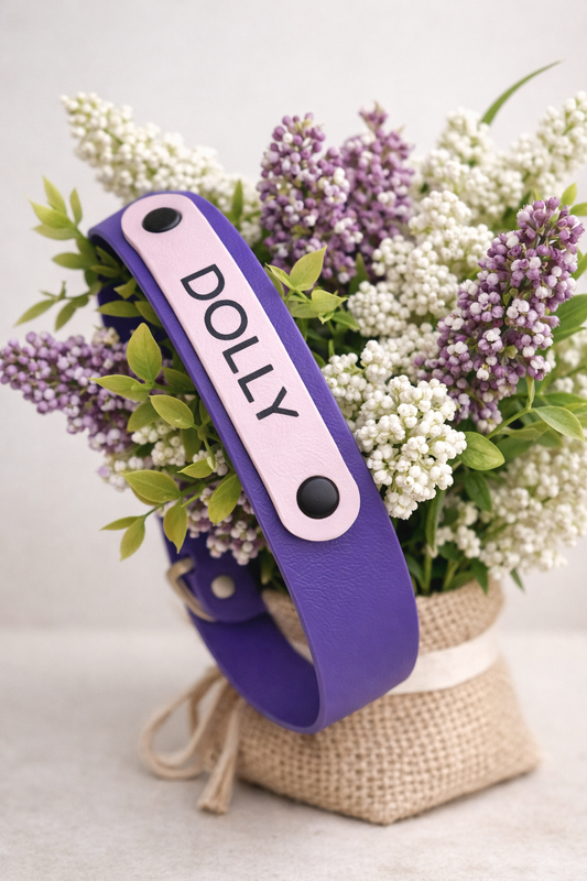 Purple waterproof biothane collar, with pink name plate on 
