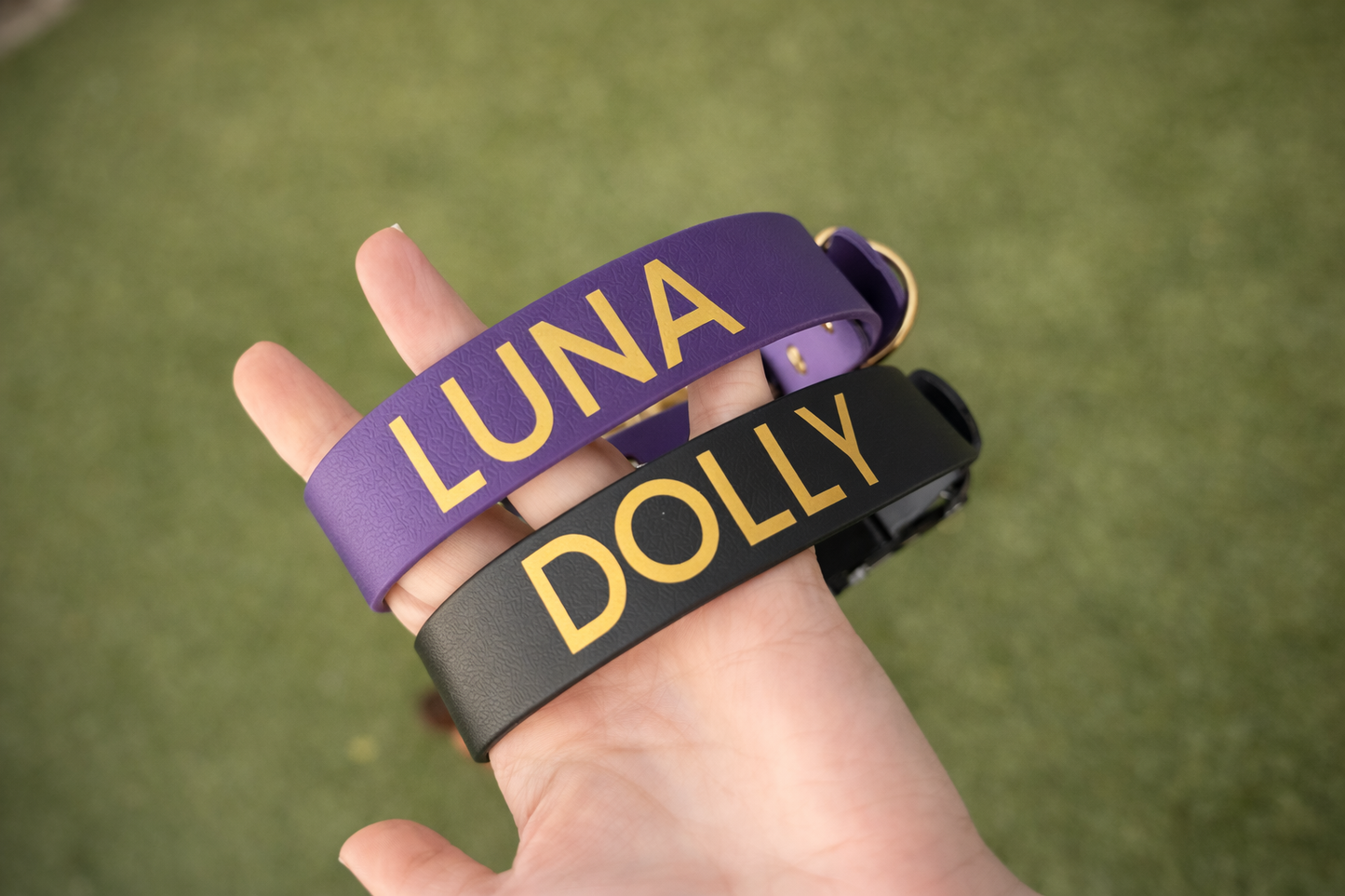 The Personalised Dog Collar