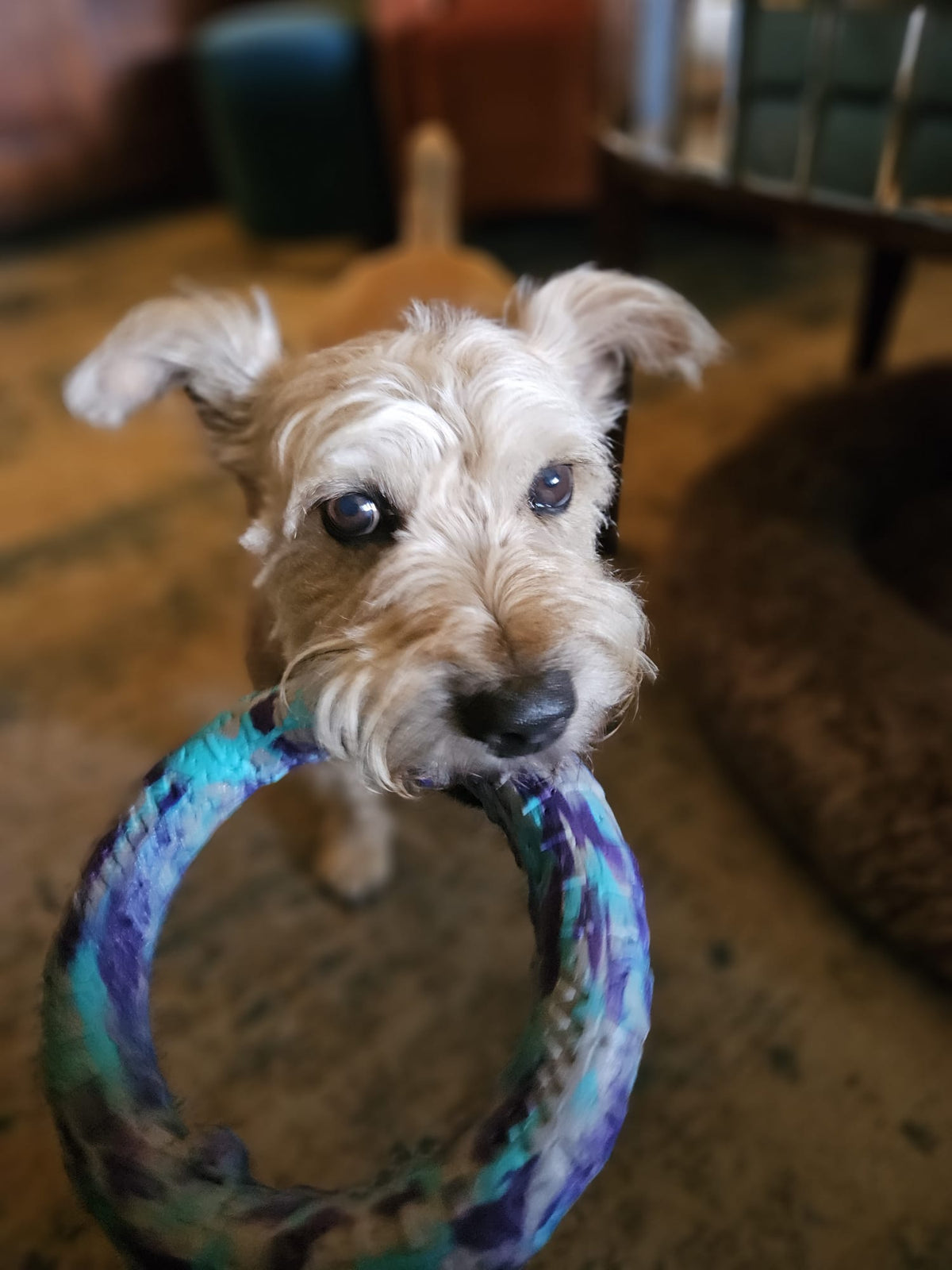 Waterproof Camo Dog Ring Toy