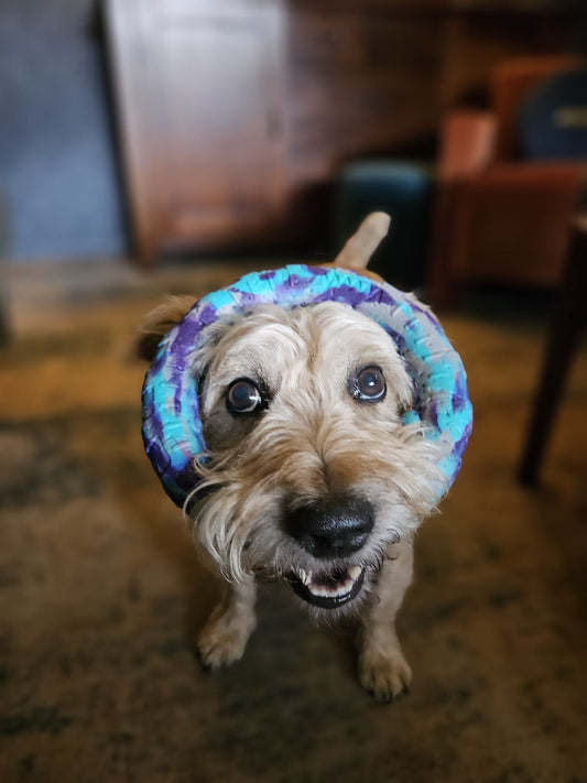 Waterproof Camo Dog Ring Toy