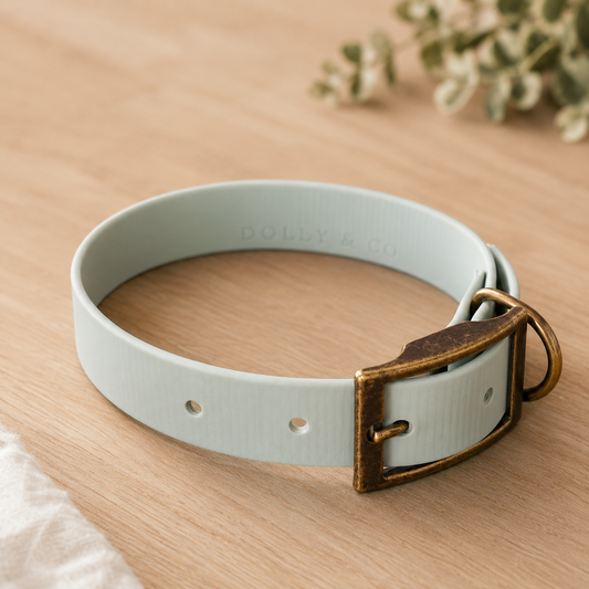 Sage Whisper waterproof dog collar handmade by Dolly & Co