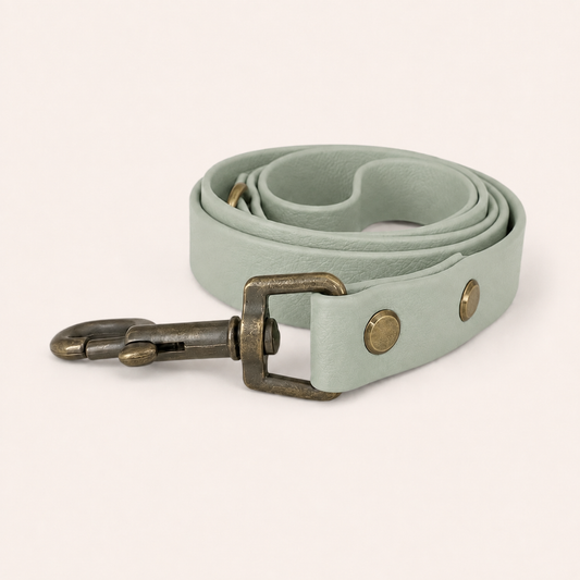 Sage Whisper waterproof BioThane dog lead with antique brass hardware