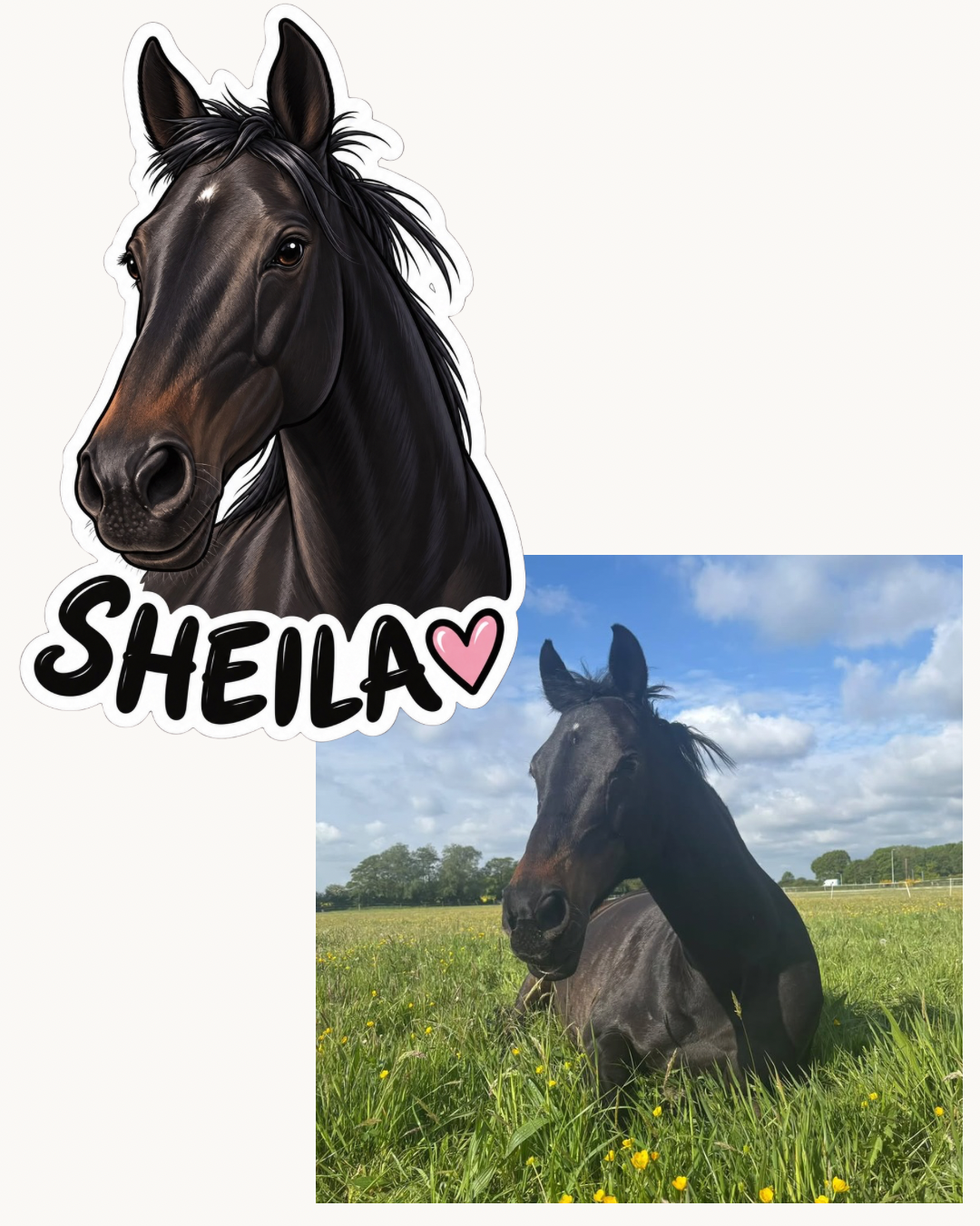 Illustrated pet photo sticker example for dog lovers