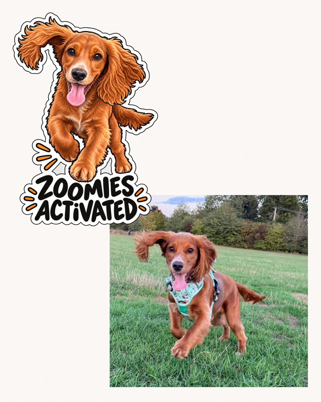Personalised pet photo sticker with illustrated pet portrait