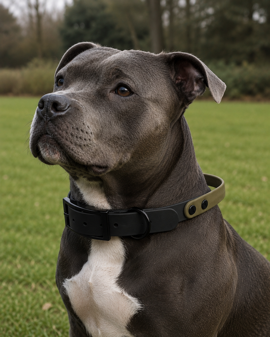 The Utility Grip Dog Collar