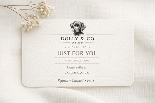 Dolly & Co Giftcard