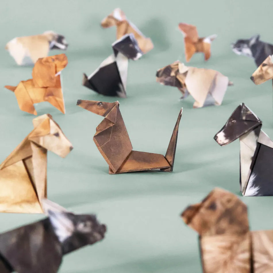 Paper Pups and Cats