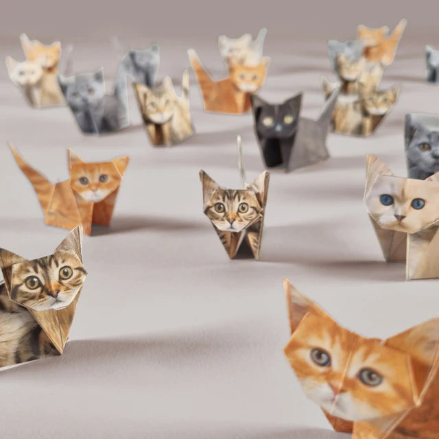 Paper Pups and Cats