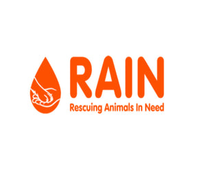Orange logo with a teardrop icon containing a hand and the text 'RAIN' and 'Rescuing Animals In Need' on a white background.