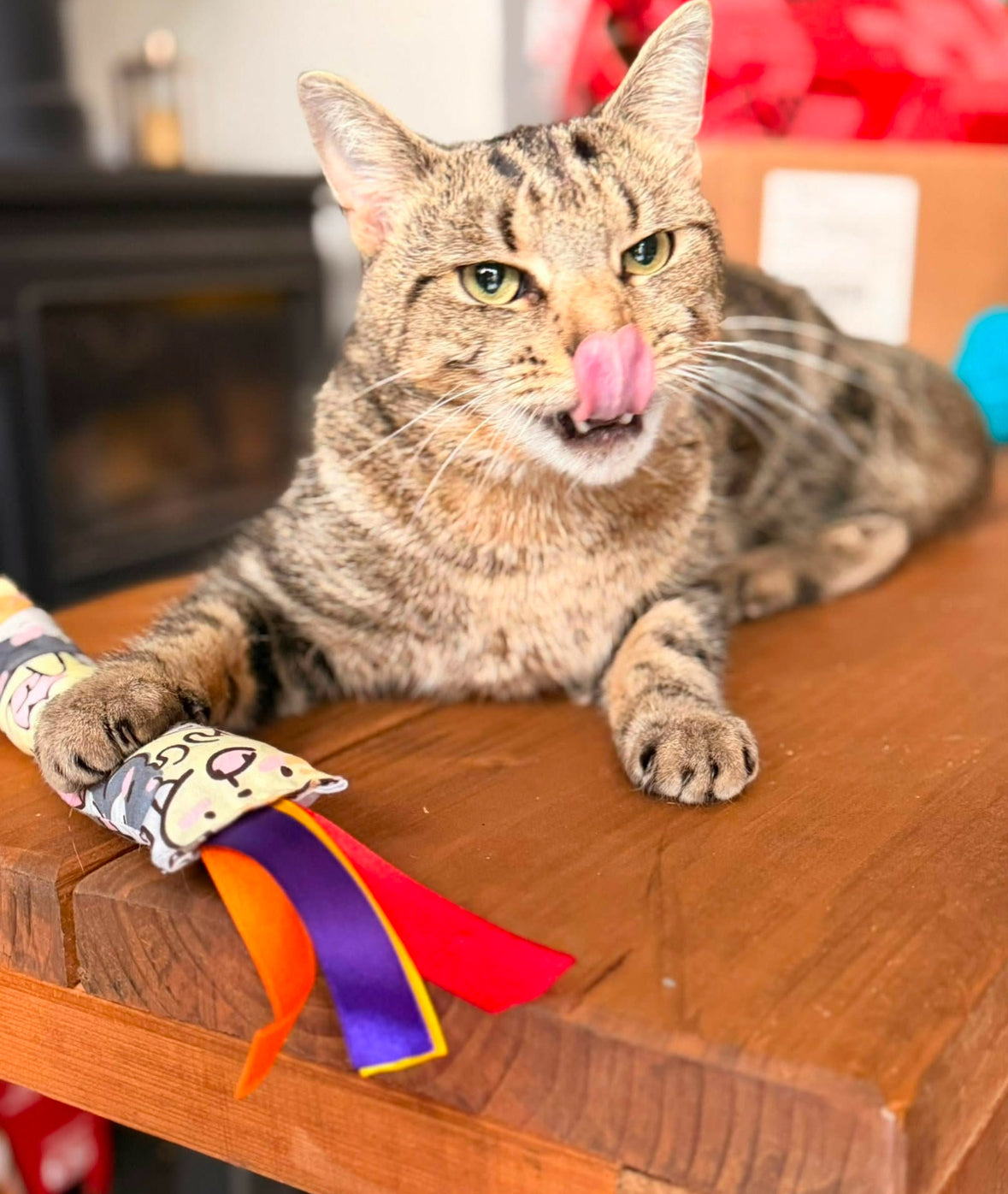 Handmade Cat Kicker Toy
