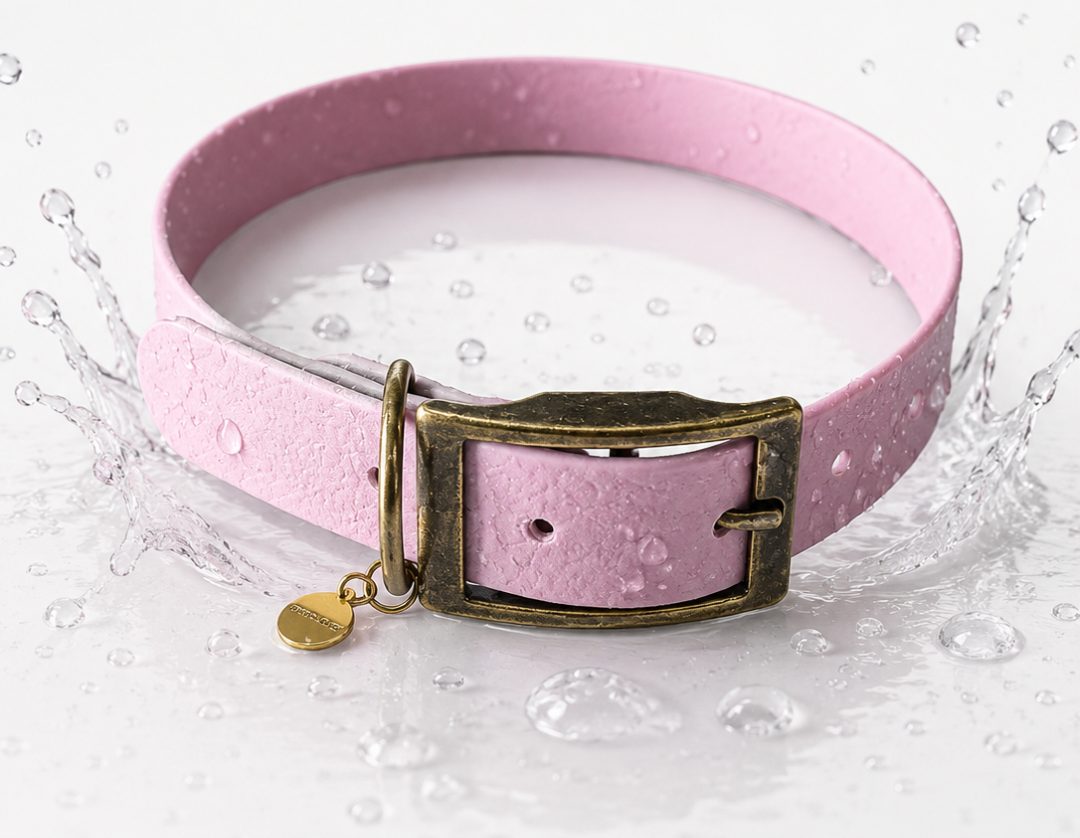 waterproof dog collar