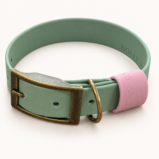 Pink embossed BioThane collar keeper fitted to a sage green collar